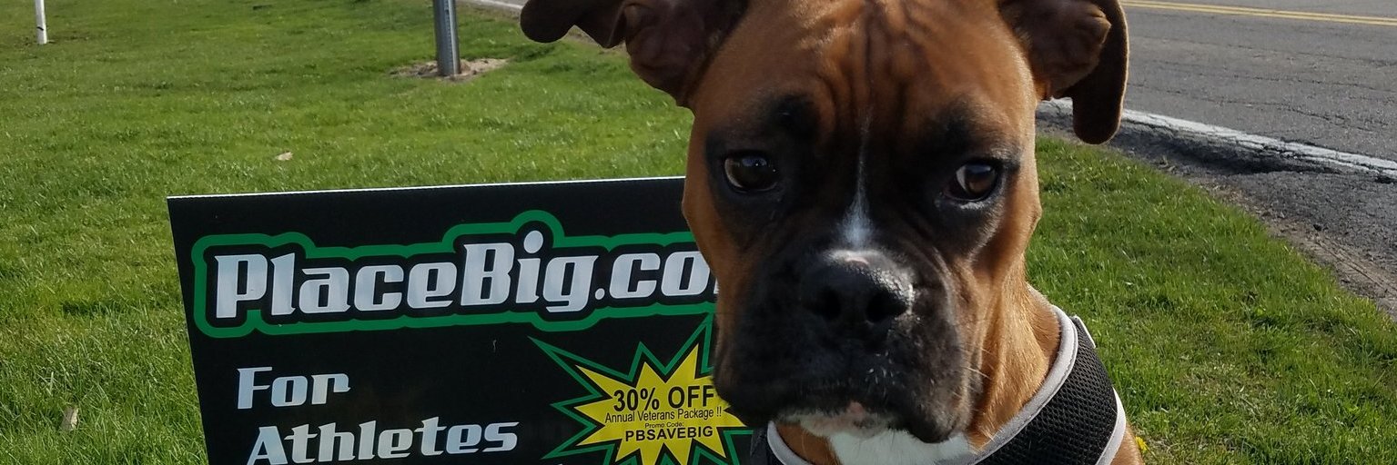PlaceBig101's profile banner image
