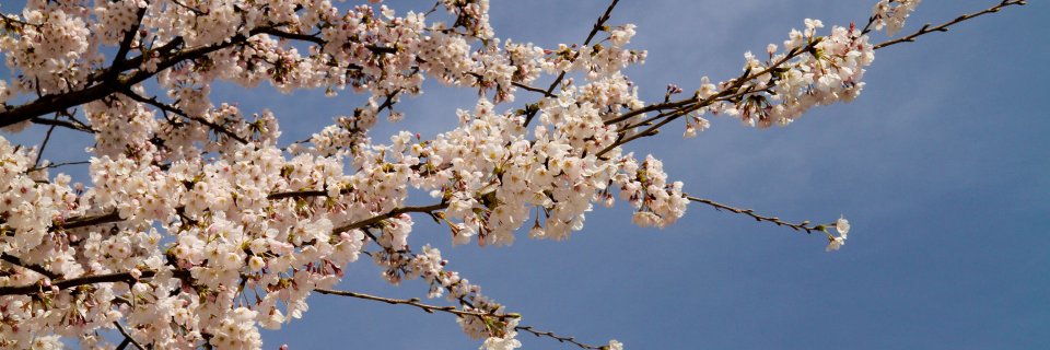 cholida_eka's profile banner image
