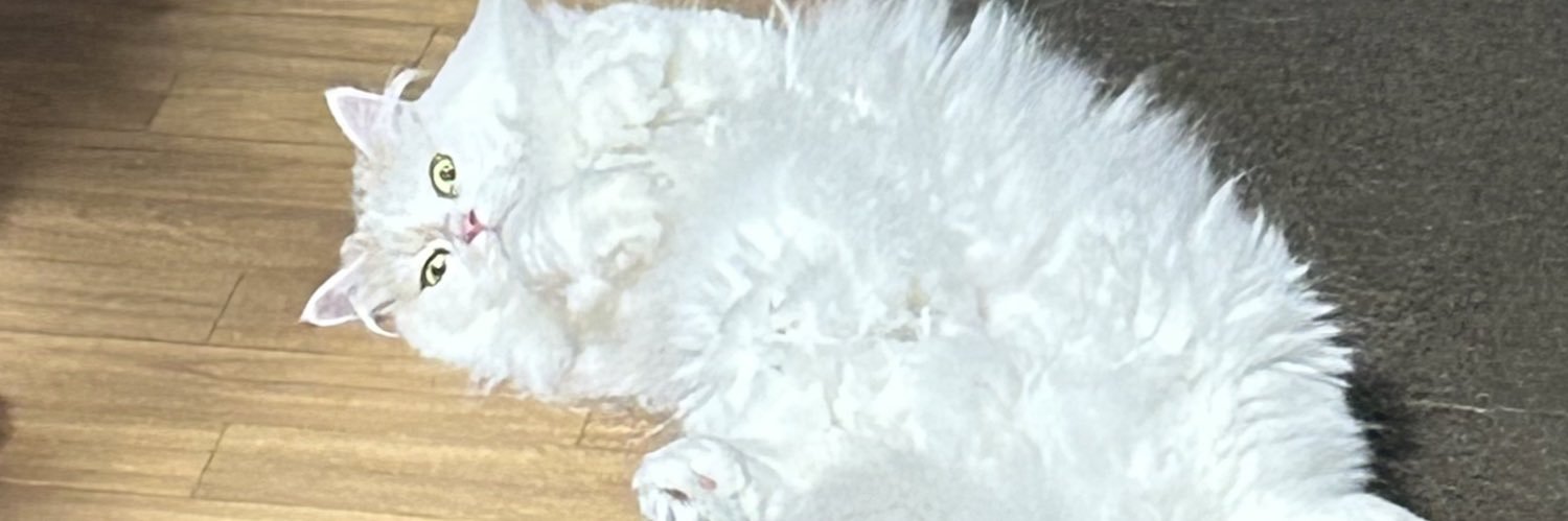 ppy9k's profile banner image