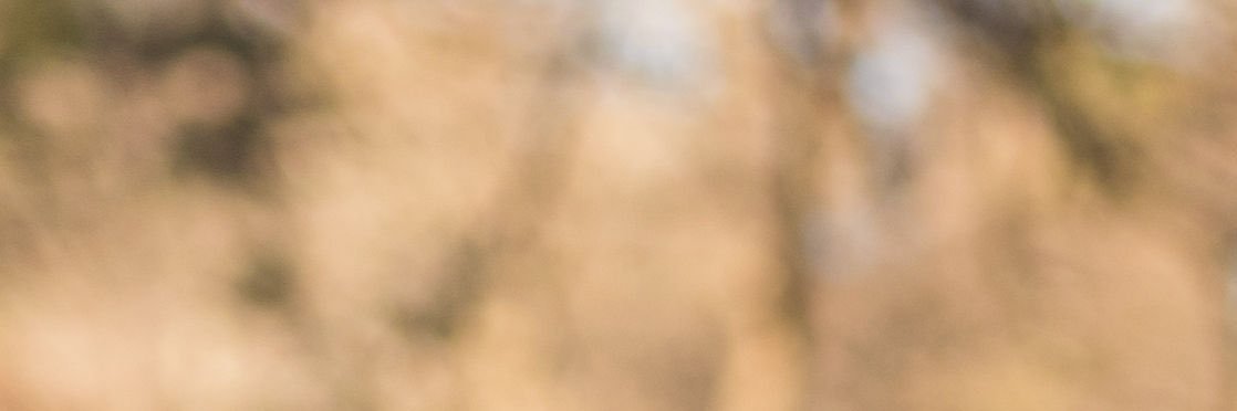 j____oe's profile banner image