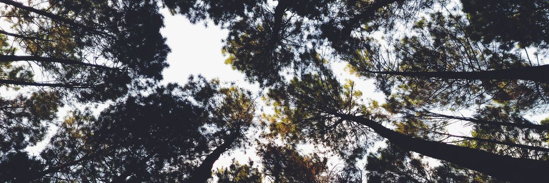 myselfisnothing's profile banner image