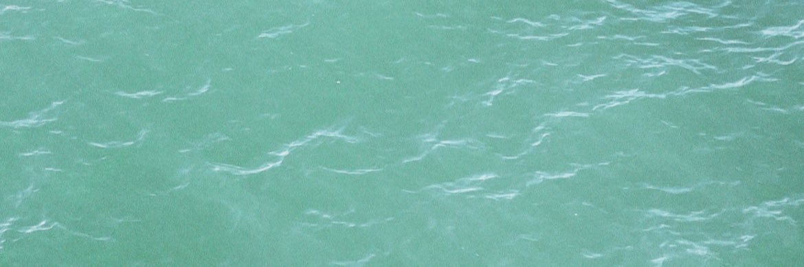 kara_kerwin's profile banner image