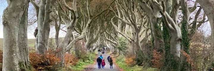 David Lindner banner