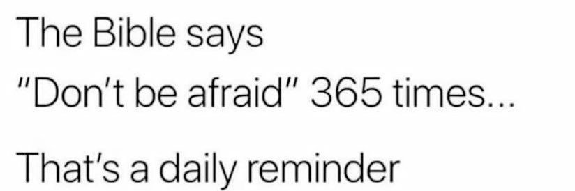 Noah Mitchell banner