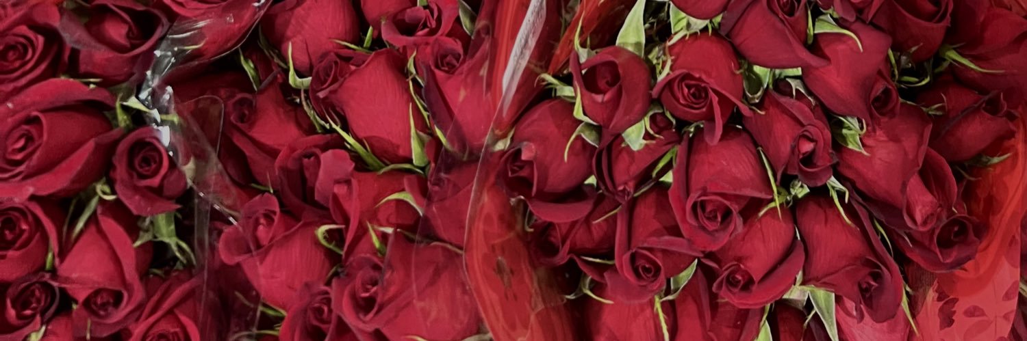 aquariusbitch ♒︎ banner