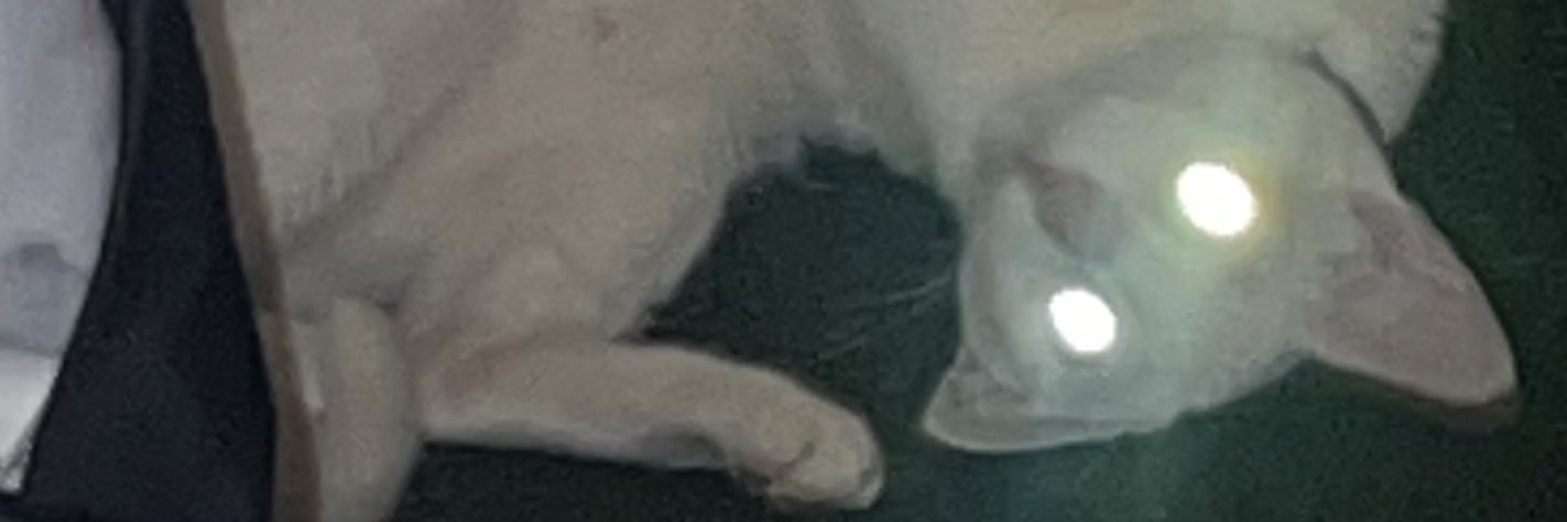 bakagotchi's profile banner image