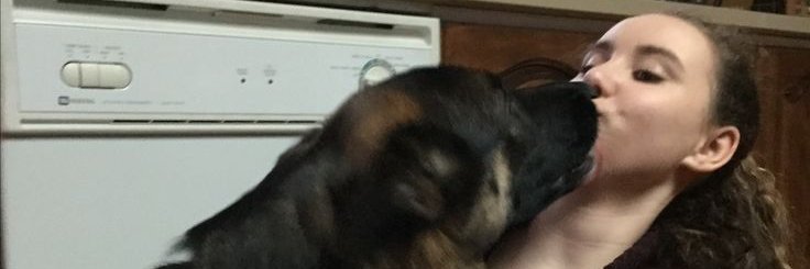 Andikamasiver's profile banner image