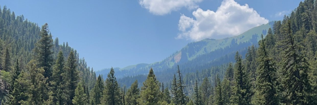 coinheadzilla's profile banner image