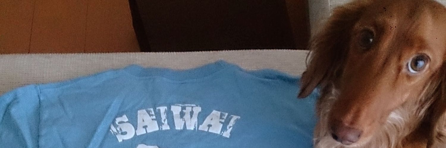 rara_kermit's profile banner image