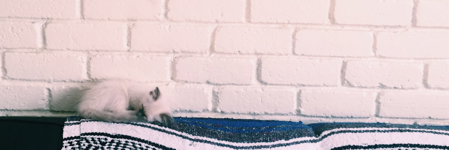 thechuchi's profile banner image