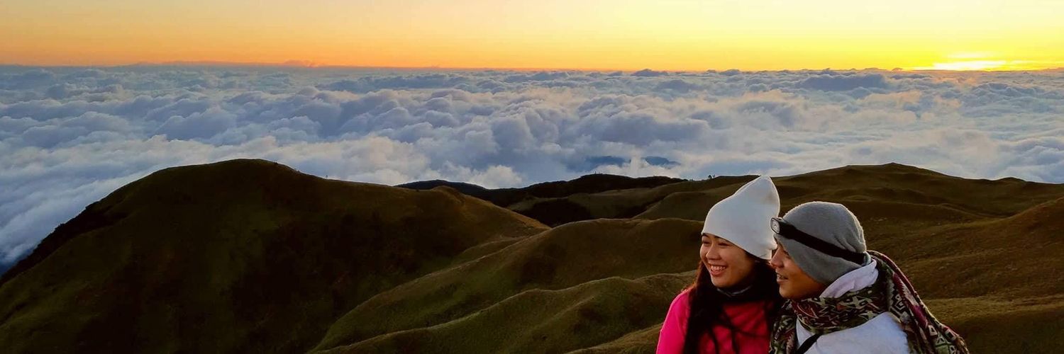 pinknyx's profile banner image