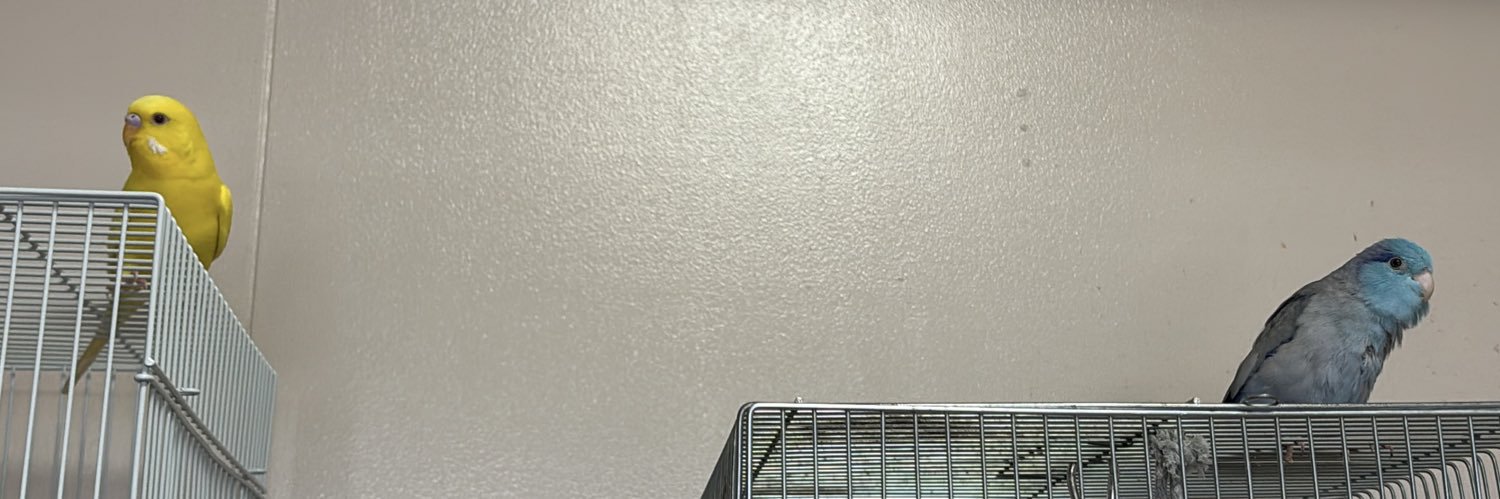 appleglace77's profile banner image