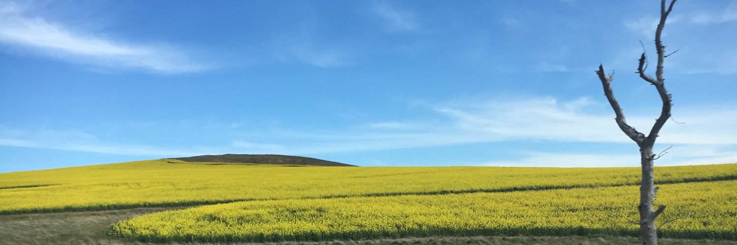 AmyAusborn's profile banner image