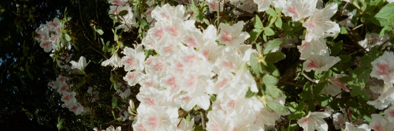ㅇ banner