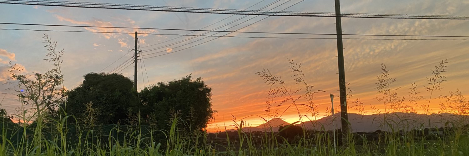 momo_wasabeef's profile banner image
