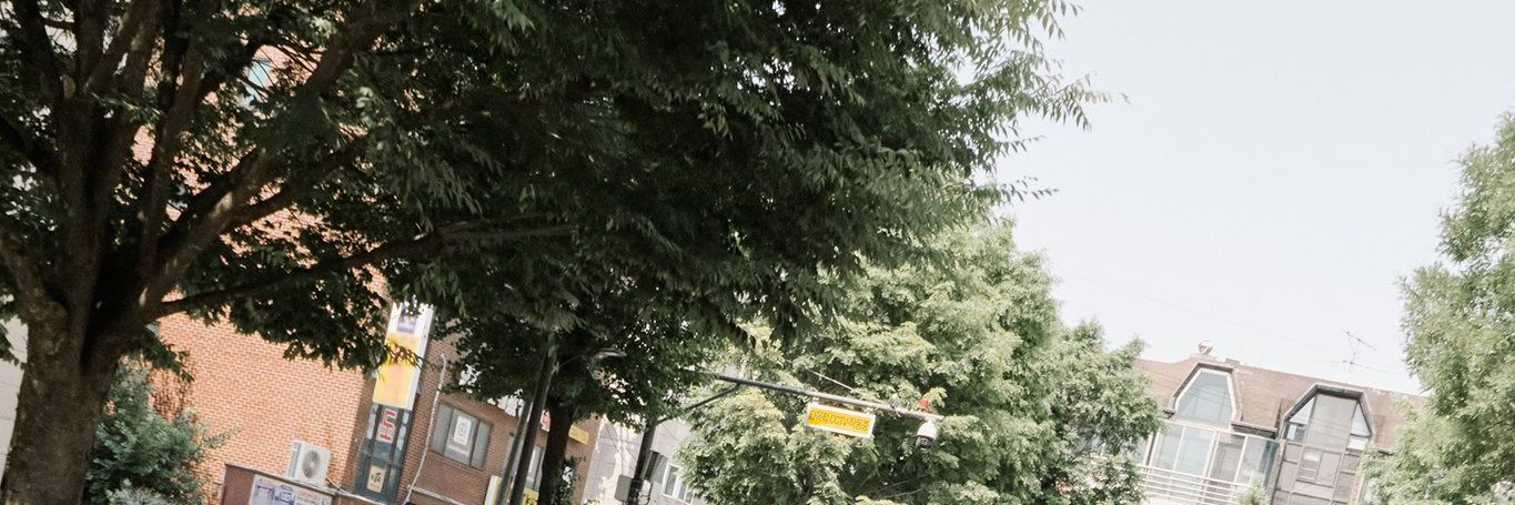 nn✦ ˑ ִָ 𓂃⊹ banner