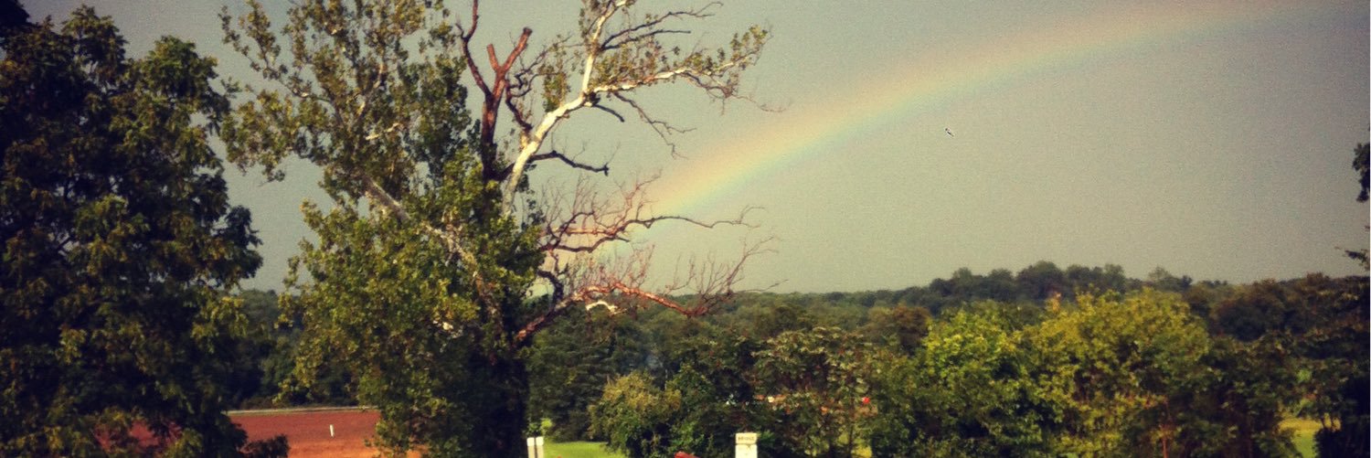 Meg McSweeney banner