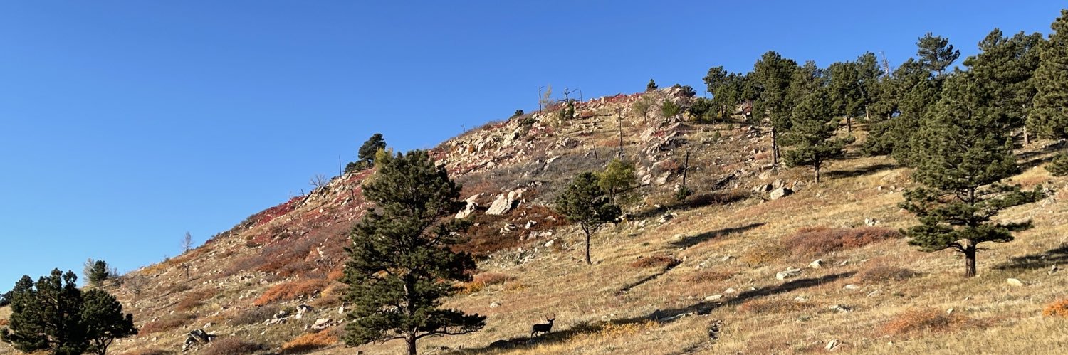 Heather K. Margolis banner