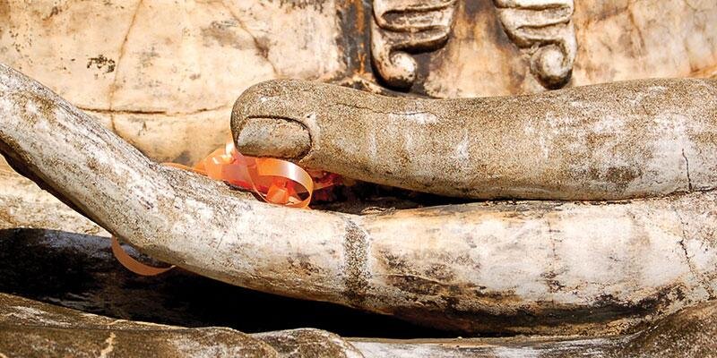 mattcarter's profile banner image
