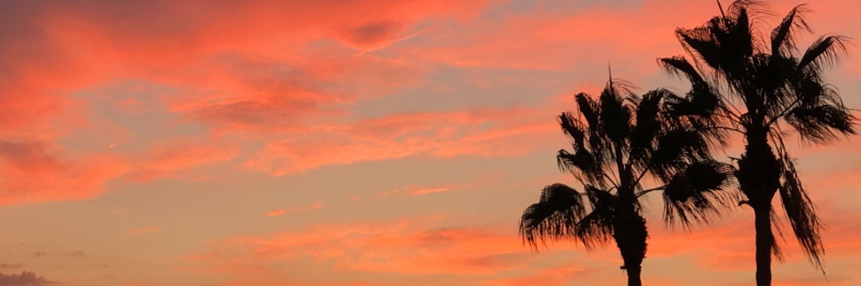 Lauuri__'s profile banner image