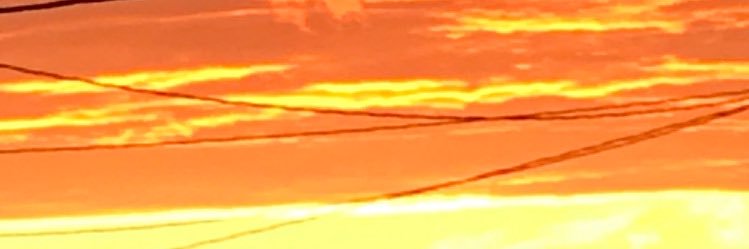 Matt Panayides banner