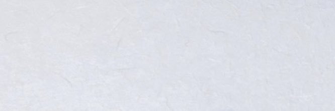 nana banner