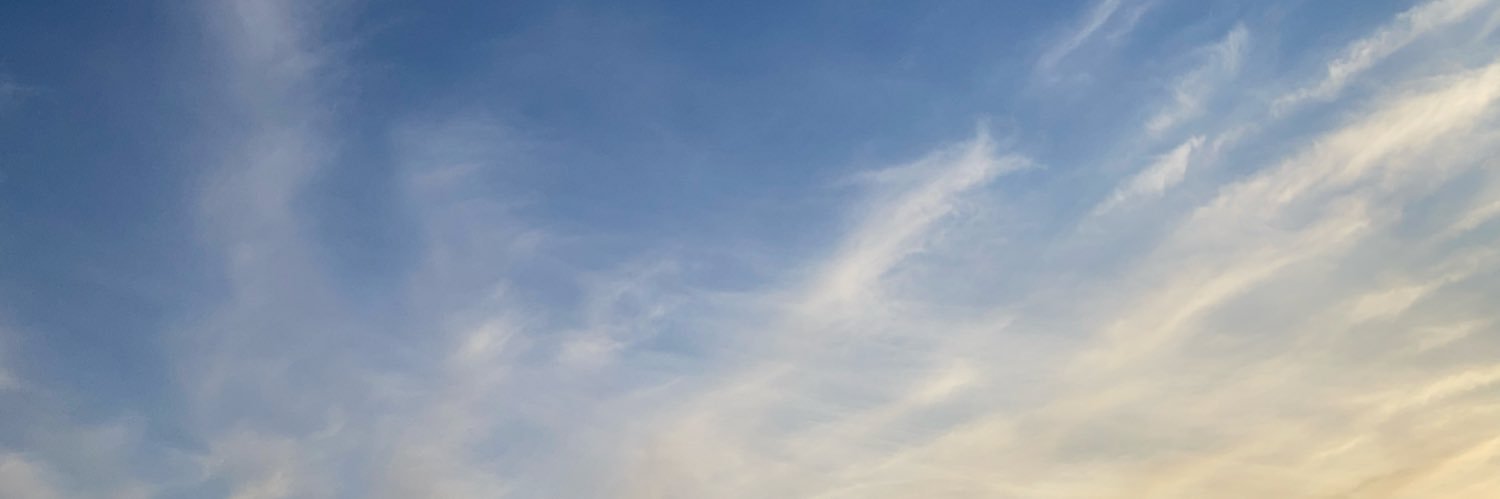 mayu banner