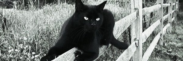 LuCkYDaDDa666 Profile Banner