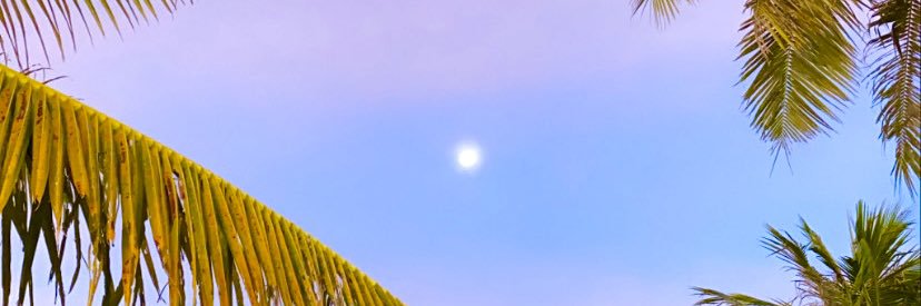 LexyAqua's profile banner image