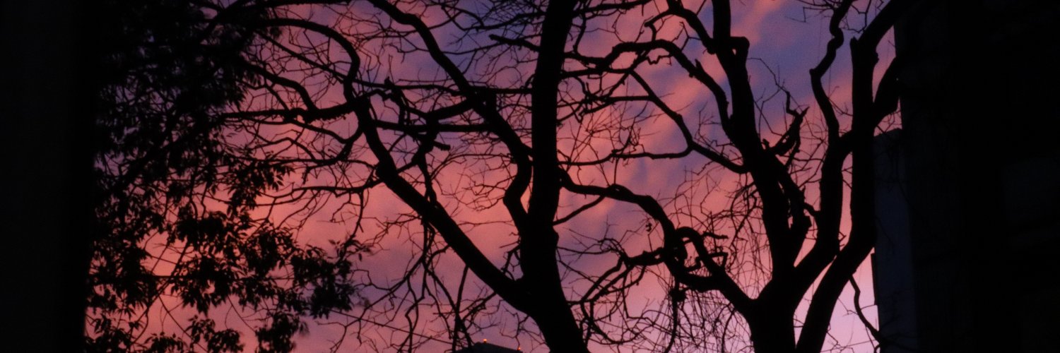 Marcos Garcia banner