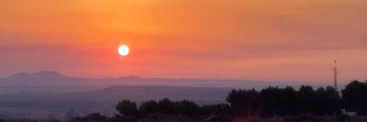 CarmeAlosTrepat's profile banner image