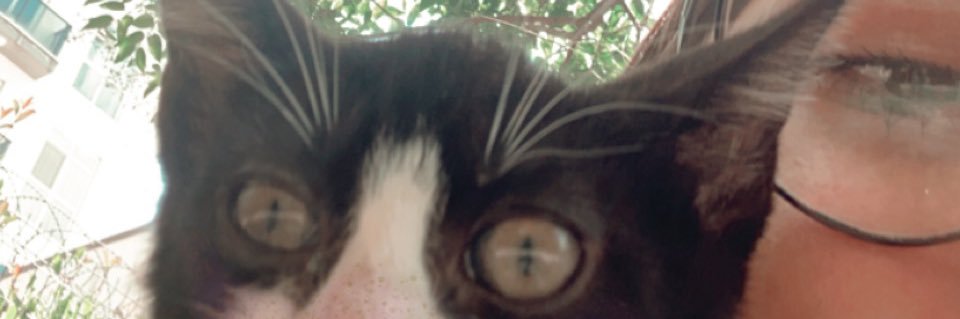 opitipitilo's profile banner image