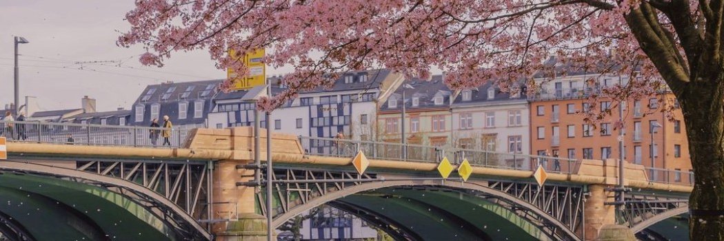 Chen (Cici) GUO banner