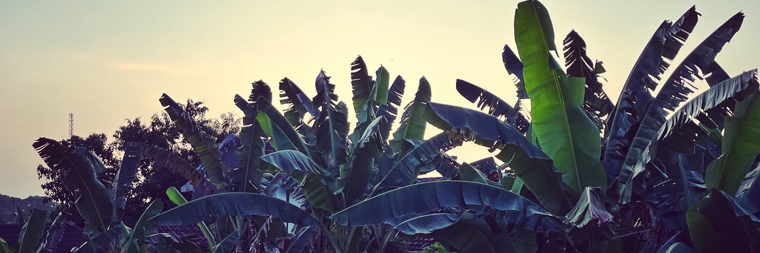 jatikkcy's profile banner image
