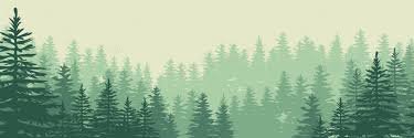 楠瀨 和樹 🌲【喝水系Pon笨呆狐Vtuber 】 banner