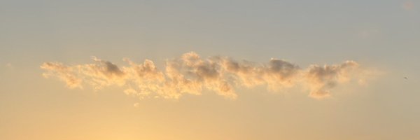 omynoh Profile Banner