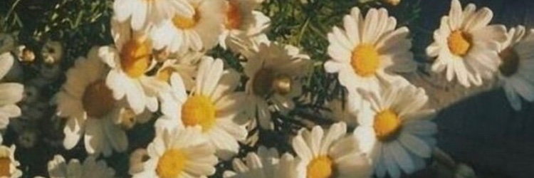 stephcastt's profile banner image