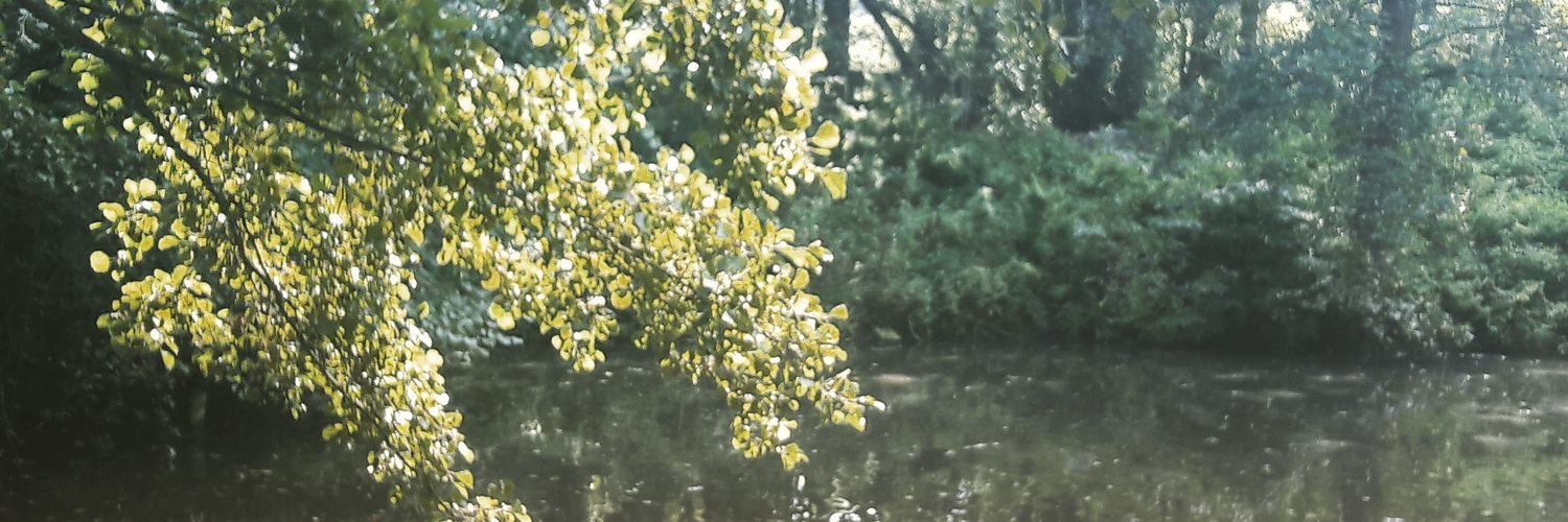AlisonJ52838569's profile banner image