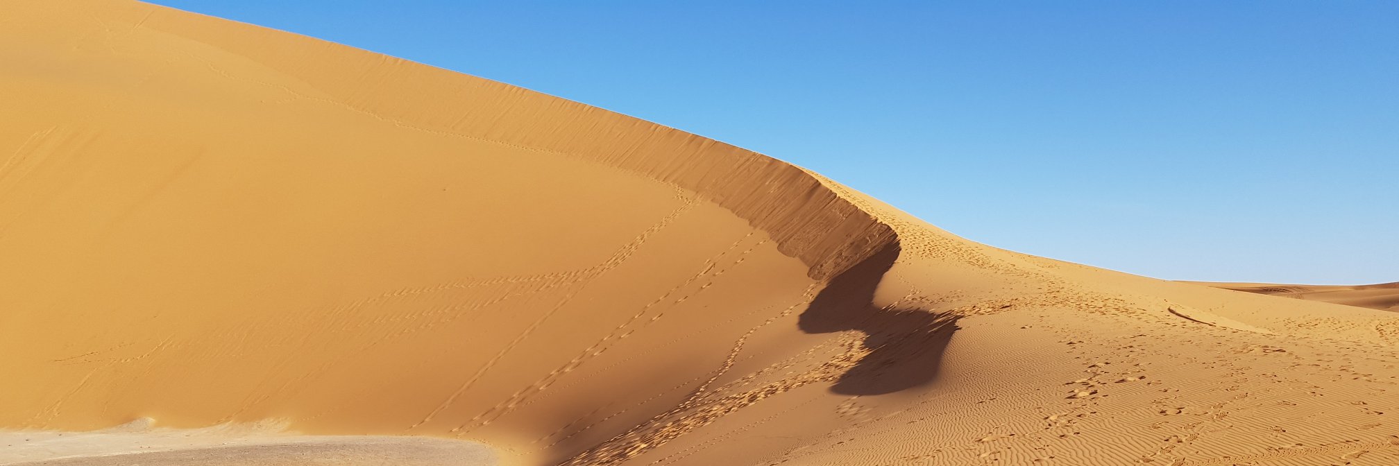 milliperis's profile banner image