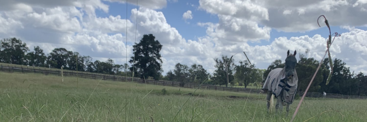 Tai Ryan banner