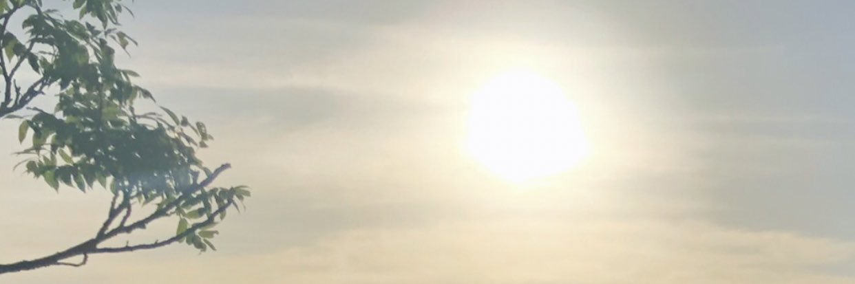 _drew_bizzy_'s profile banner image