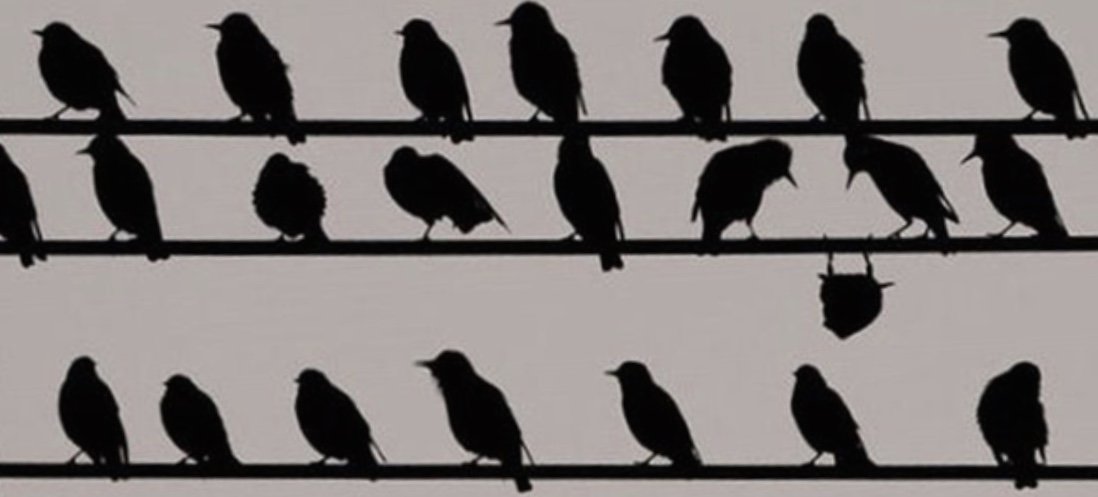 nonconformity banner