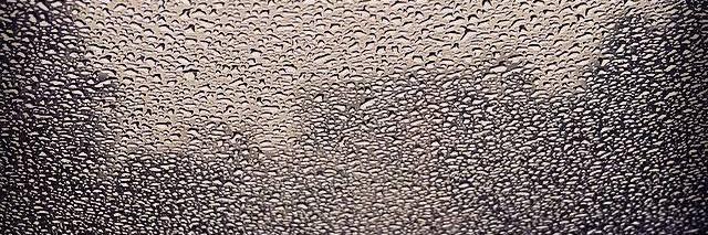 anshula kumar banner