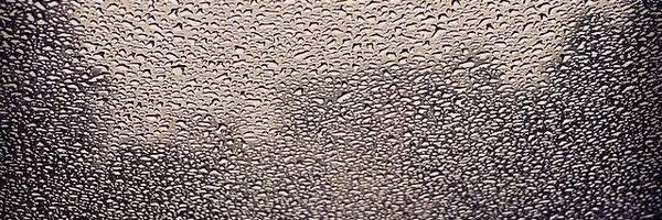 anshula_kumar Profile Banner