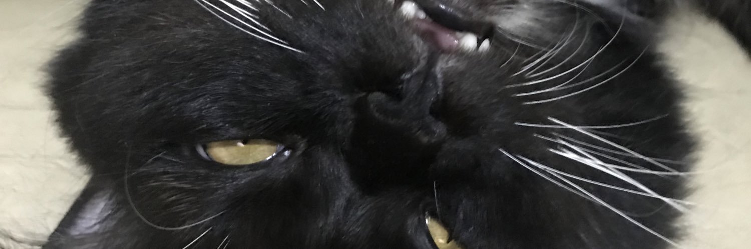 febrinadpp's profile banner image