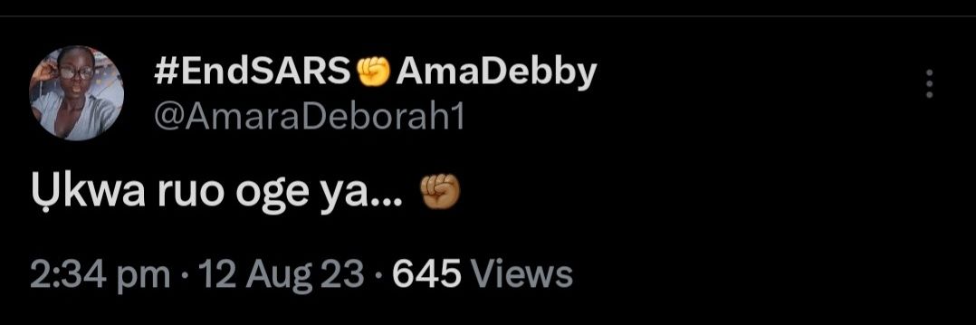#EndSARS✊AmaDebby banner