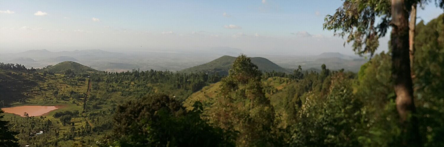 ranijosiscky's profile banner image