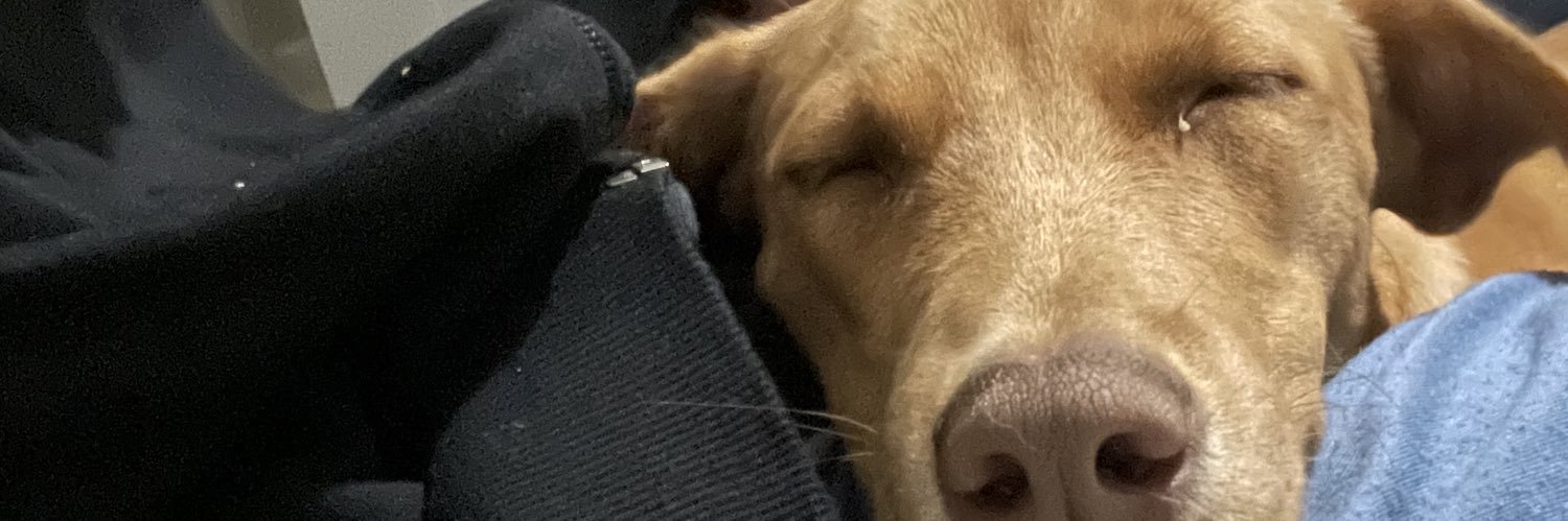 cryd_'s profile banner image
