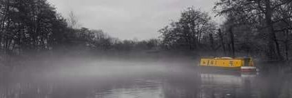 Roseyonaboat's profile banner image