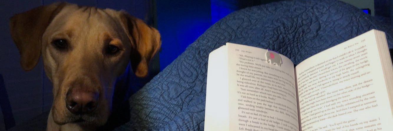 ickkynikkki's profile banner image